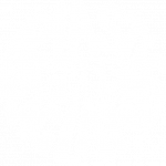 Plastic free raglan English_Logo_white